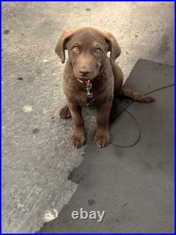 Machinist Lapping Plate 12 x 12 x 2 1/8